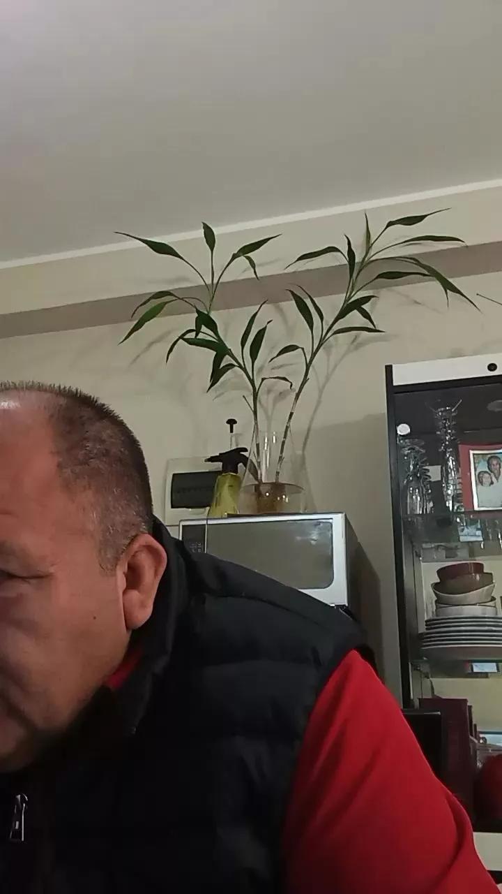 BETETTO44 from Cam4