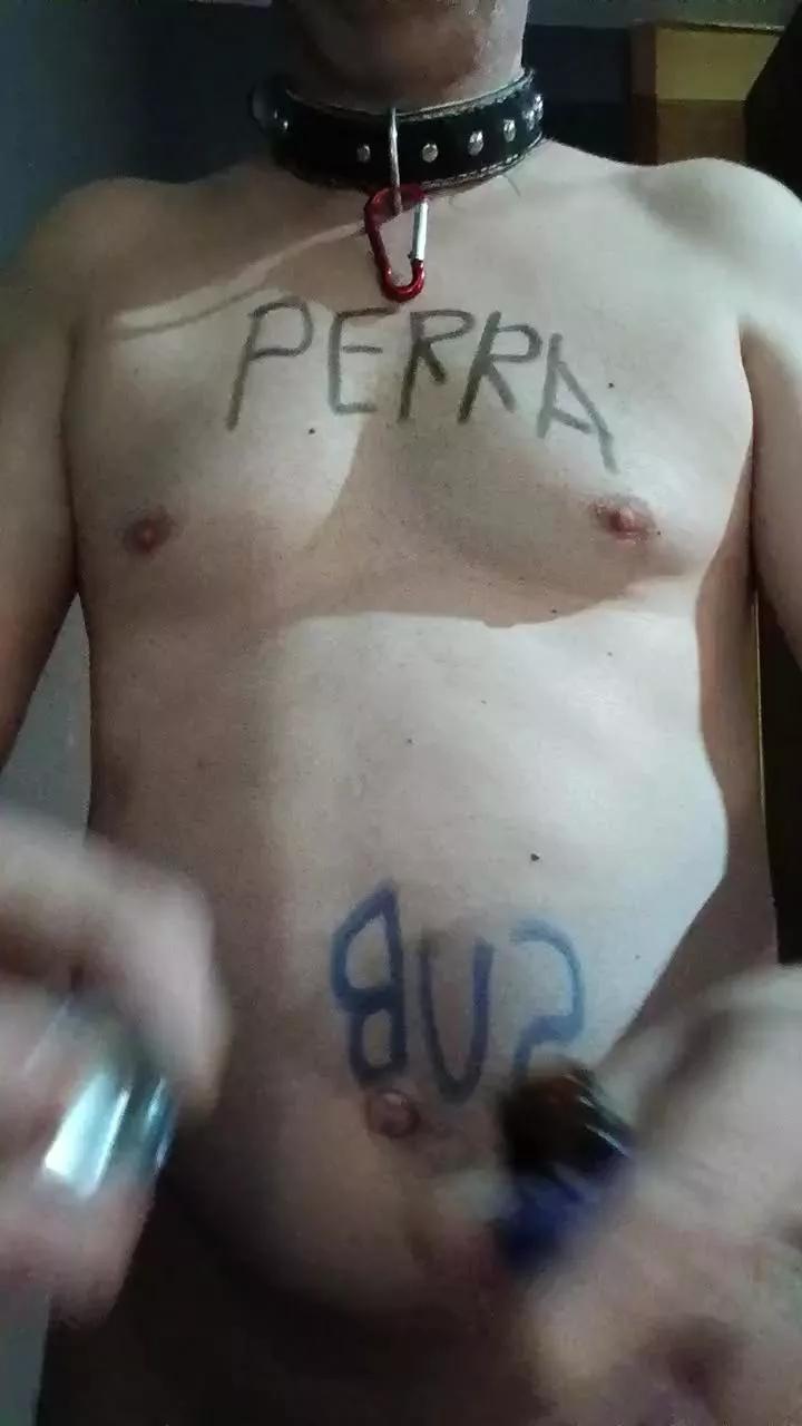 perrasum3 from Cam4
