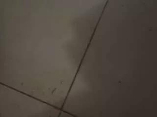 zarazoe from CamSoda is Freechat