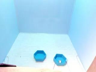 ivyy_bliss from Flirt4Free is Away