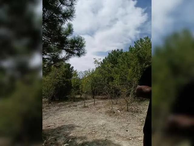 Freechat -Pypsiki- on BongaCams