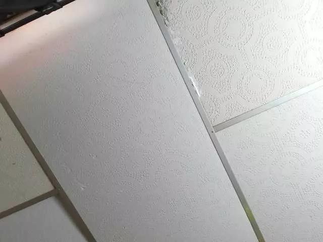 Offline BrendaxShane on BongaCams