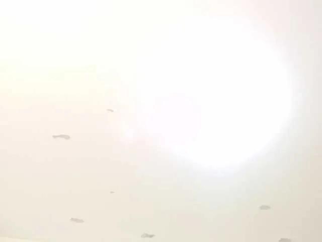 JimmyPamela on BongaCams 