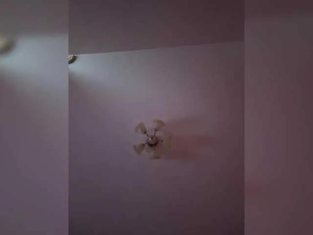 Offline Maria-5 on BongaCams