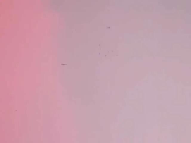 Offline Pamela-Velvet on BongaCams