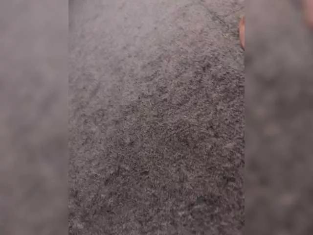 Offline Sexy6969 on BongaCams