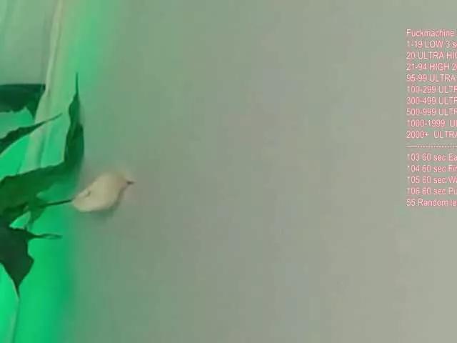 Freechat Vik-Love on BongaCams