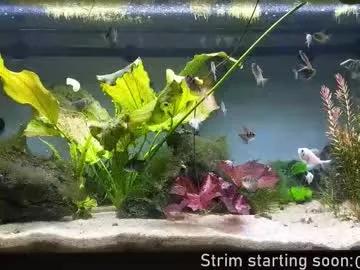 booker_baxton — HUSH PIGGY #uncut #young #gay #bi #twink