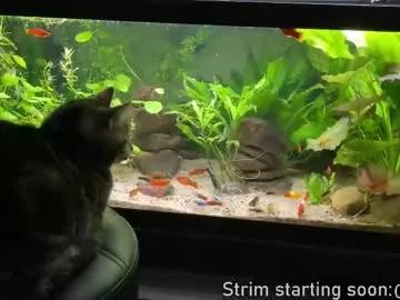 booker_baxton on Chaturbate 