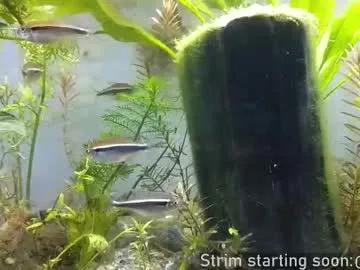 booker_baxton on Chaturbate 