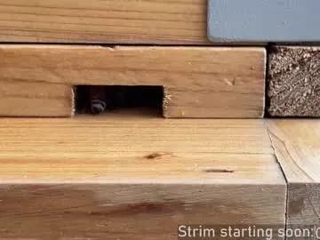 booker_baxton on Chaturbate 