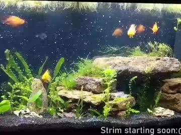 booker_baxton on Chaturbate 