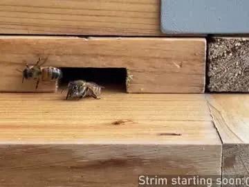 booker_baxton on Chaturbate 