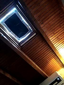 Freechat CurlyElisa on StripChat